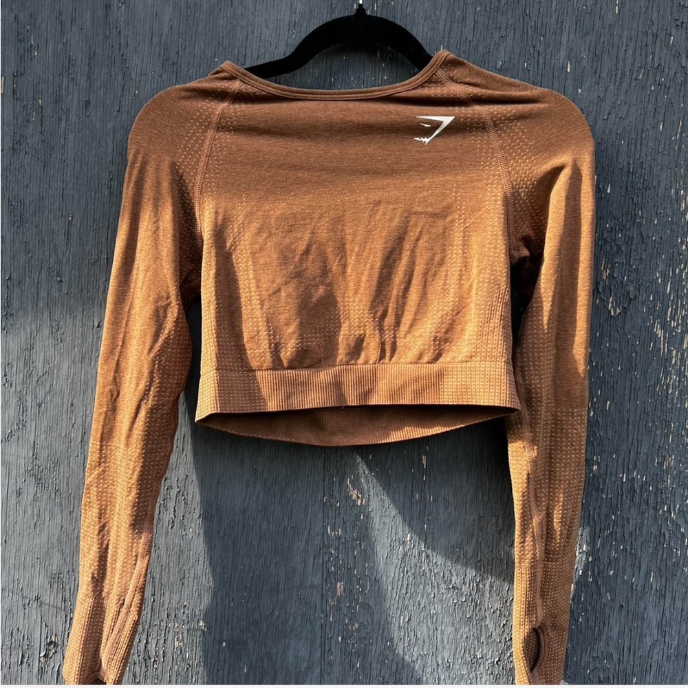 Brown Long Sleeve Crop Top